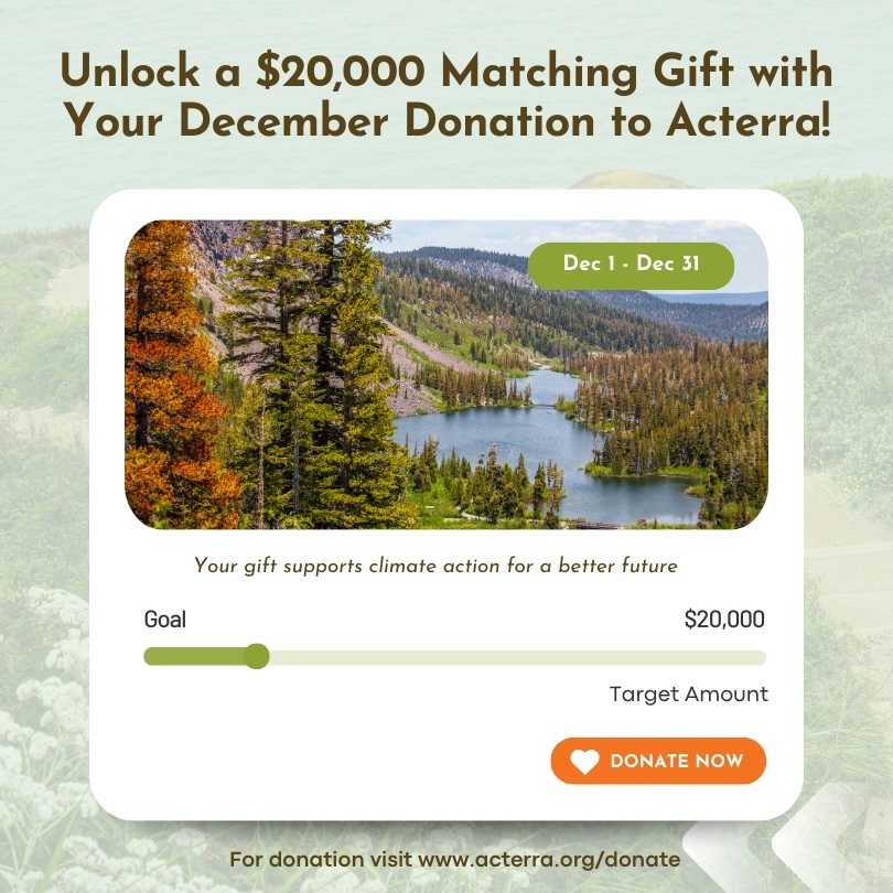 Unlock a $20,000 matching gift with you December donation to Acterra!