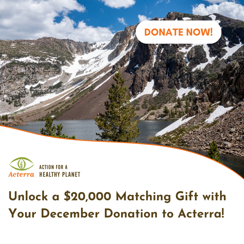 Unlock a $20,000 matching gift with you December donation to Acterra!