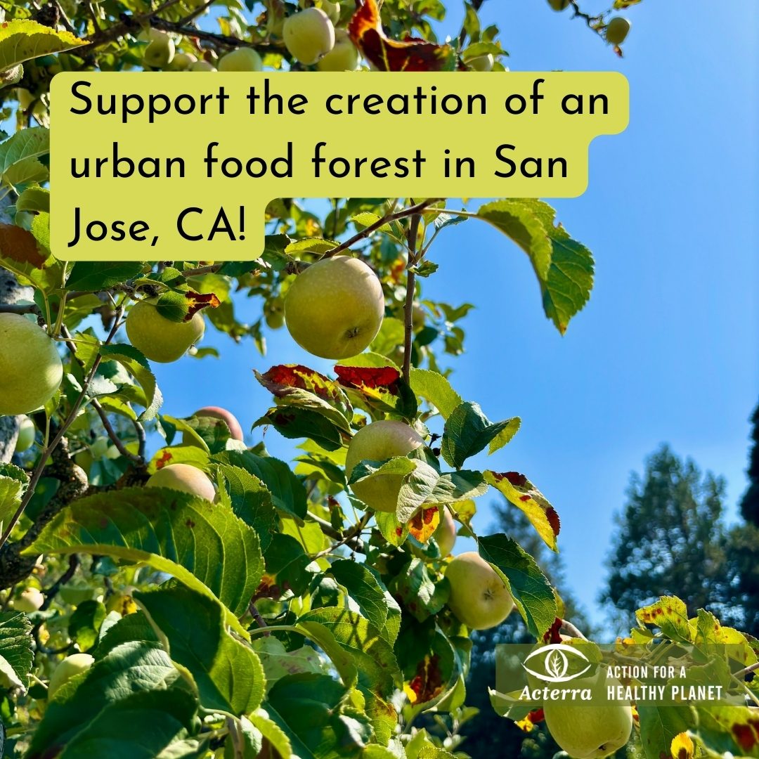 Support the creation of an urban food forest in San Jose, CA!