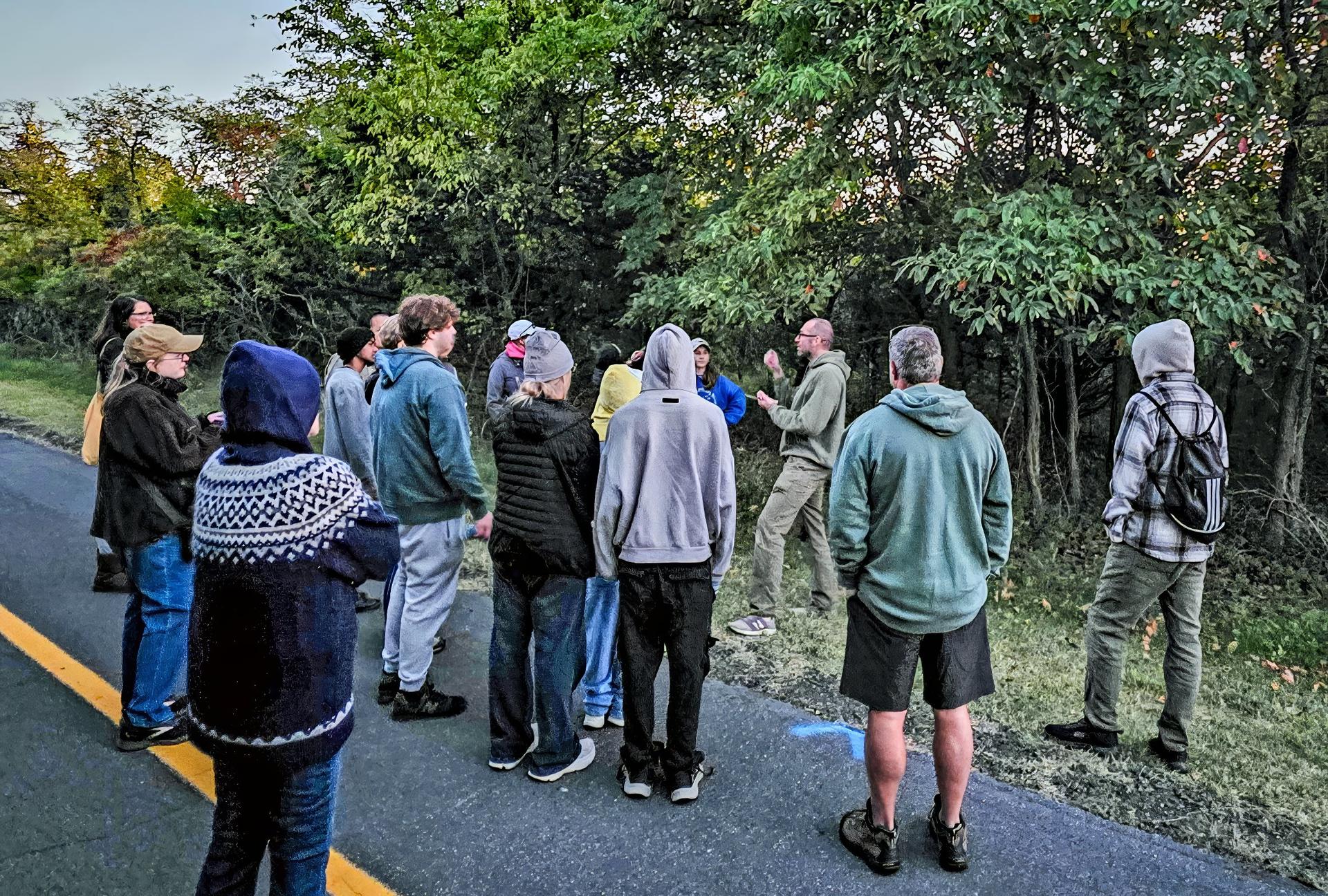 Participants on the Sandy Hook Wild Edible Plant Walk