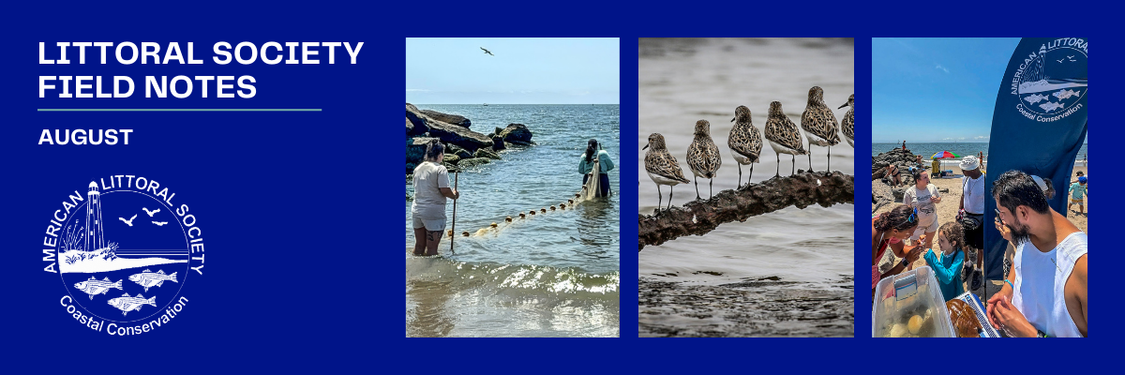 february 2025 field notes header