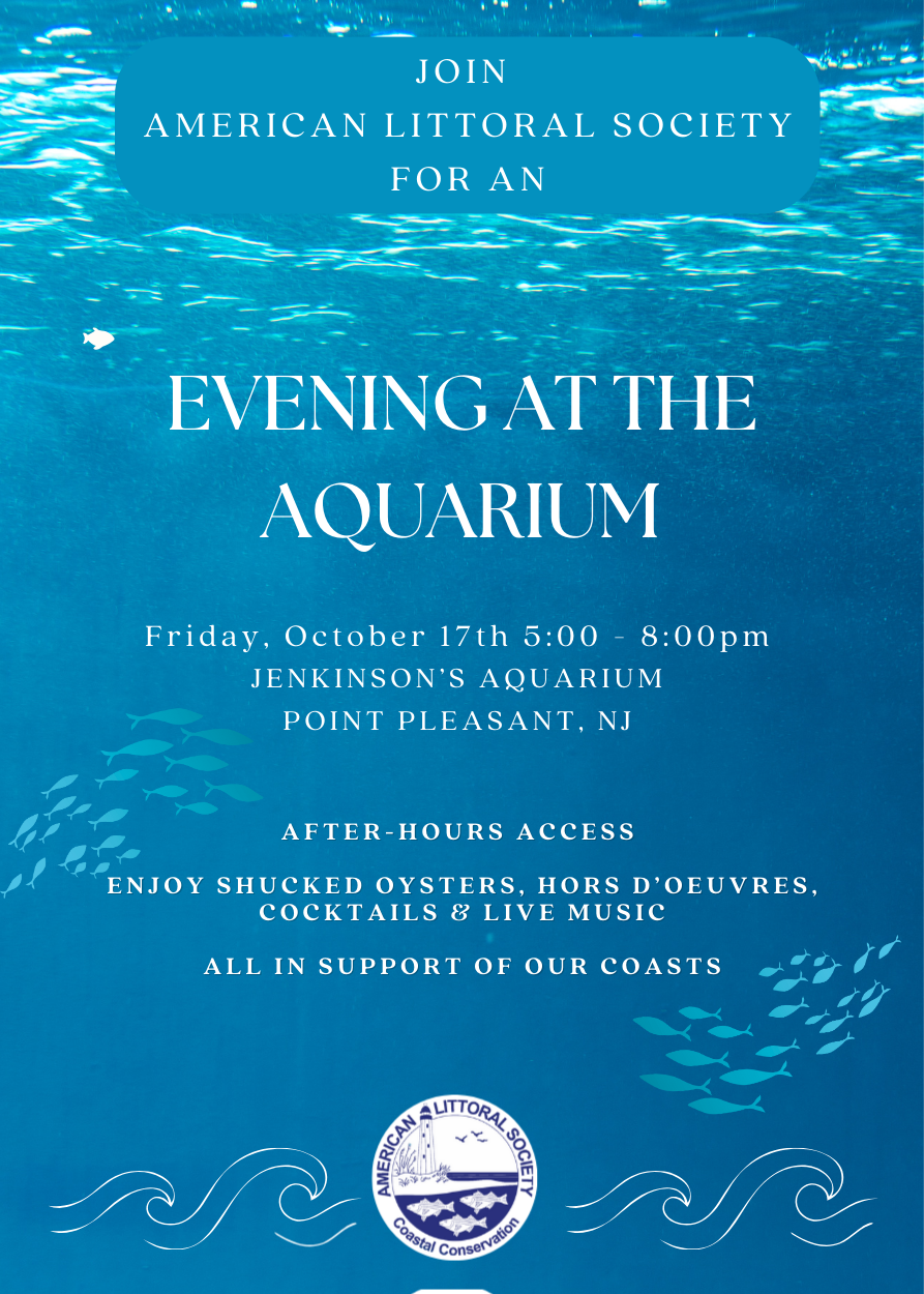 Evening at the Aquarium Flyer