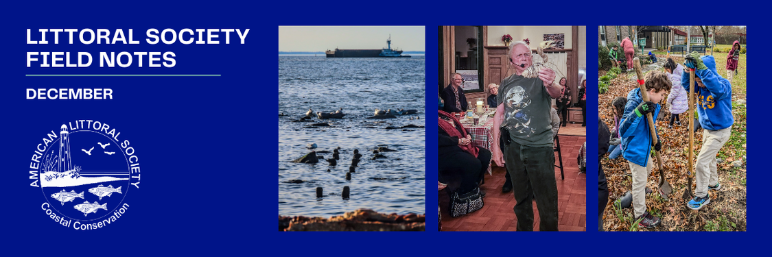 february 2025 field notes header