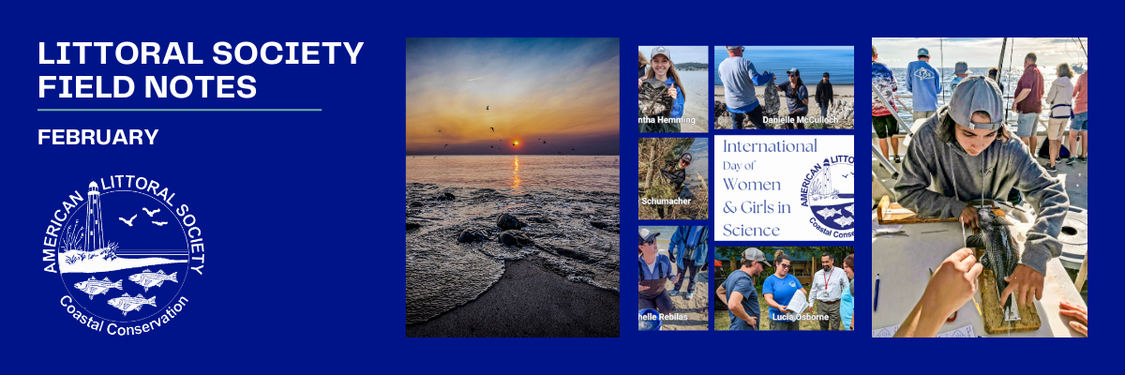 february 2025 field notes header