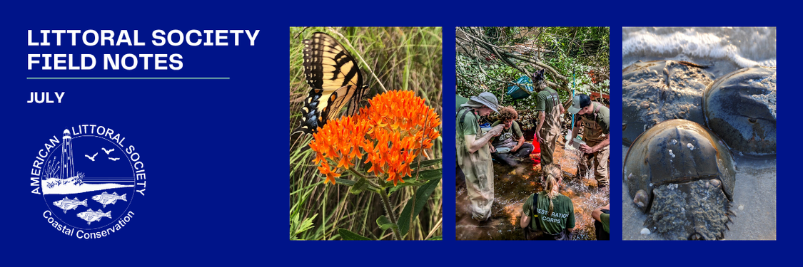 february 2025 field notes header