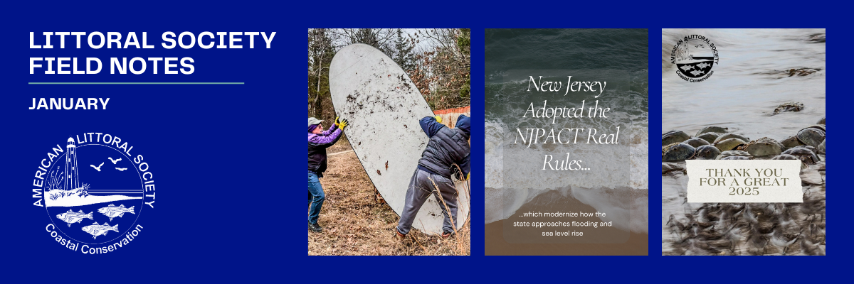 february 2025 field notes header