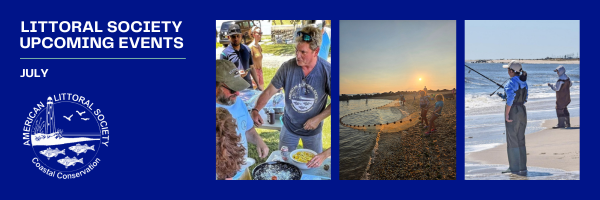 newsletter header