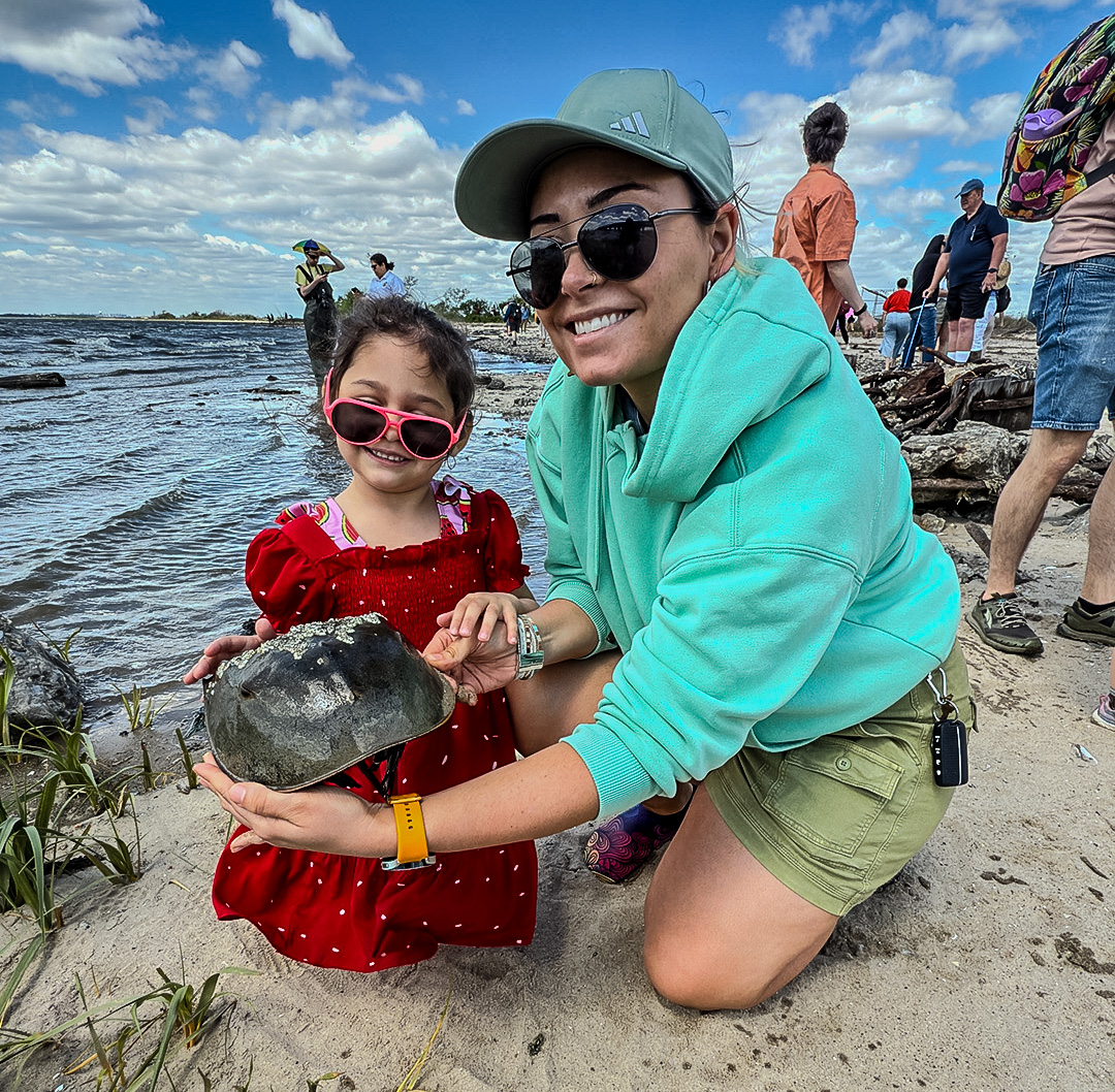attendees eeing and learning about horseshoe crabs during the Jamaica Bay horseshoe crab festival