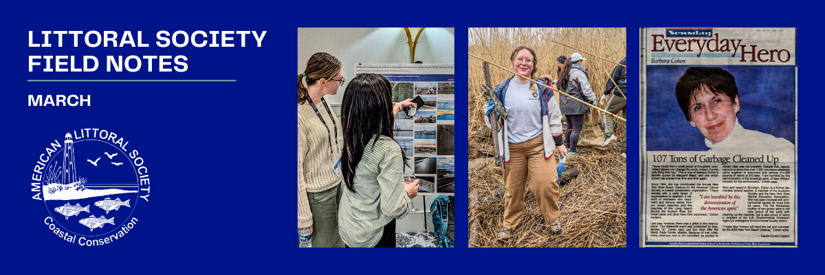 february 2025 field notes header