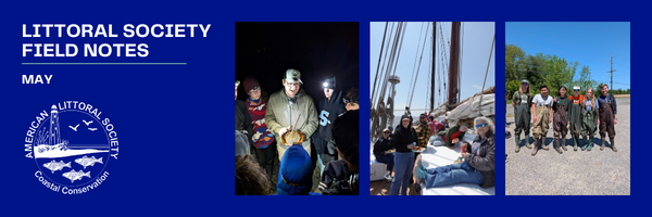 february 2025 field notes header