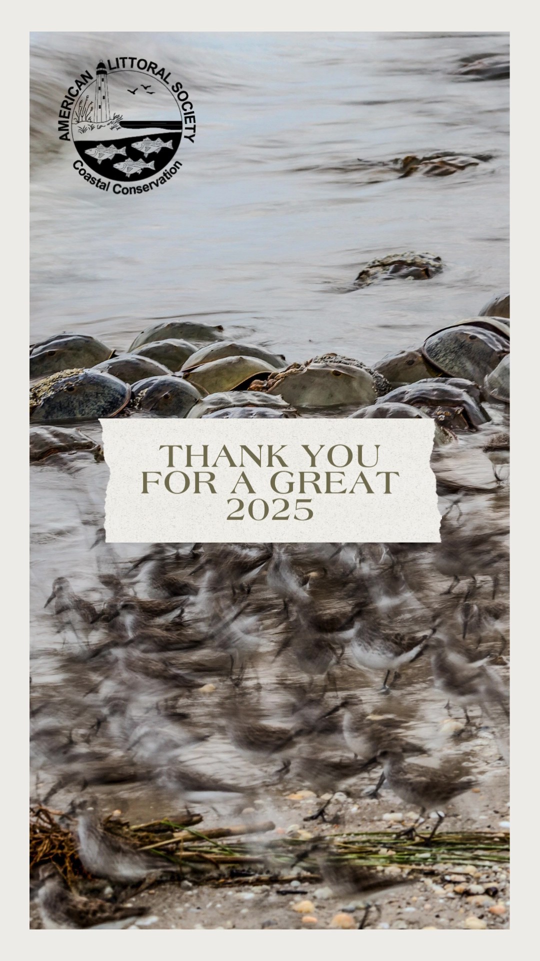 animated graphic for 2025 recap