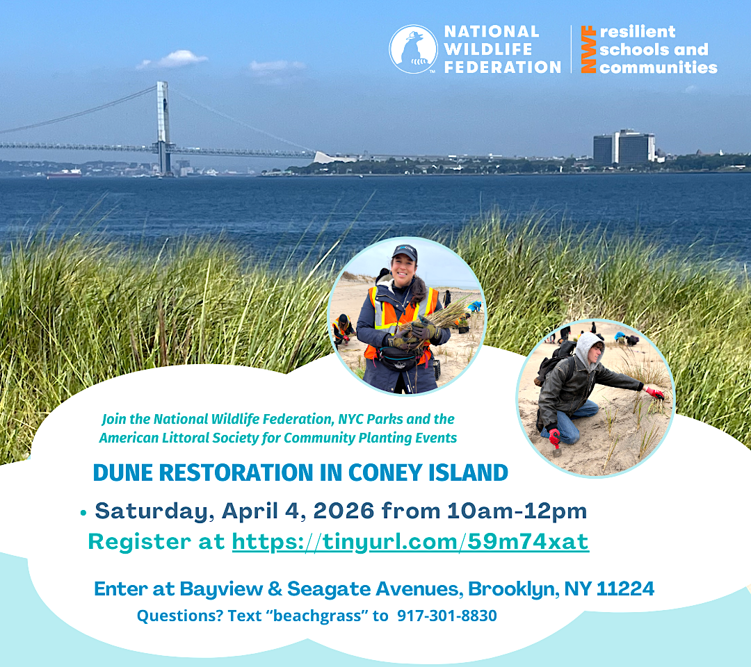 flyer for a dune grass planting event at Coney Isalnd State Park in NJ's PennsvilleTownship