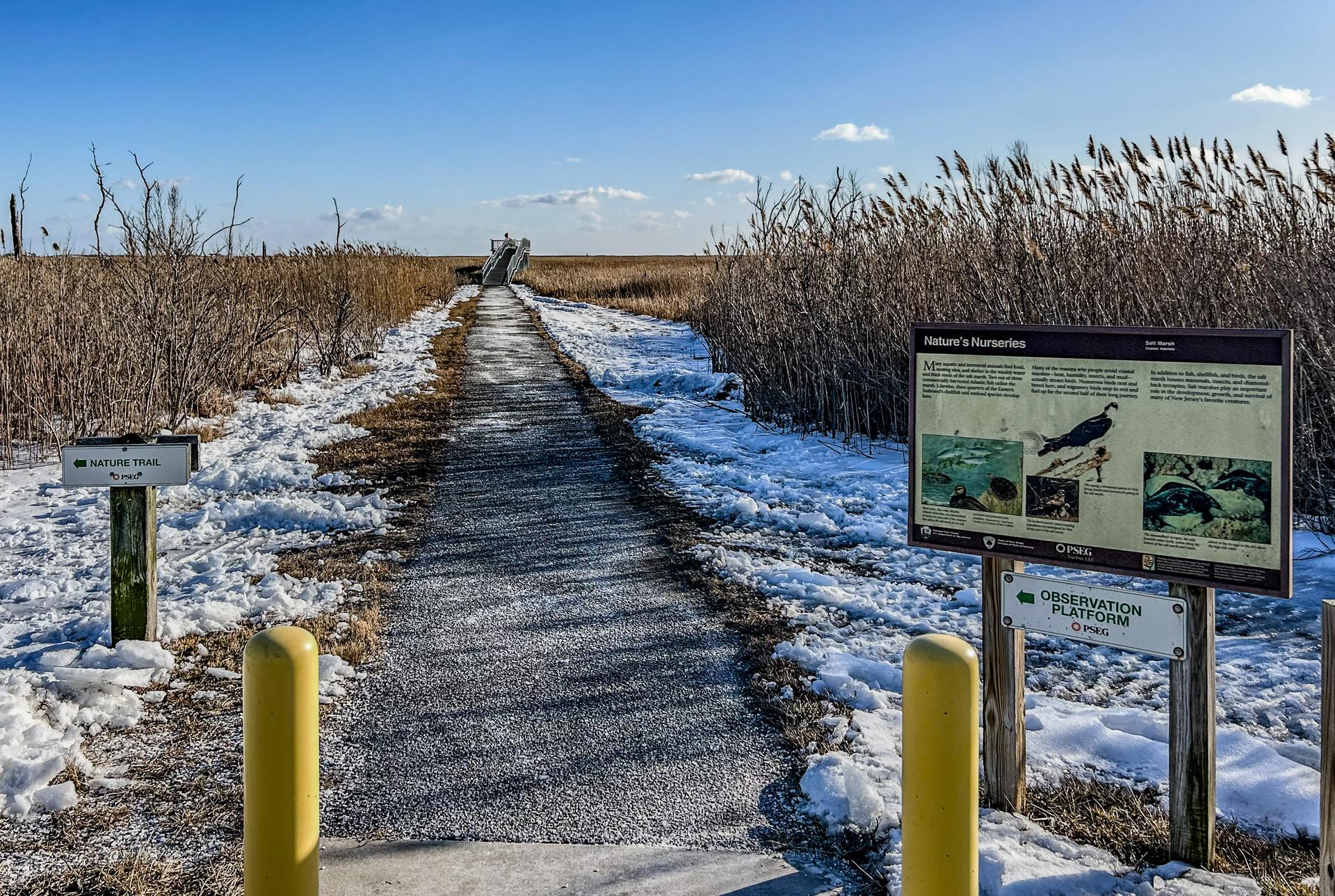 nature trail and boardwalk near Mauricetown, NJ into a PSE&G estuary enhancement site
