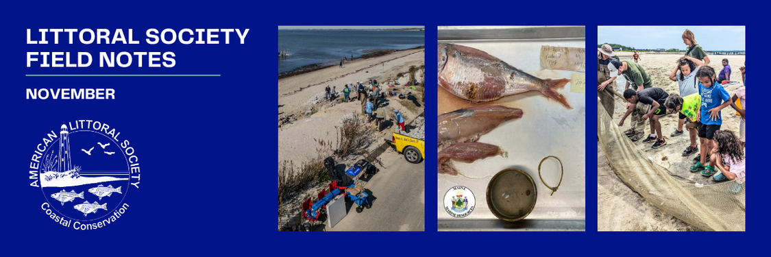 february 2025 field notes header