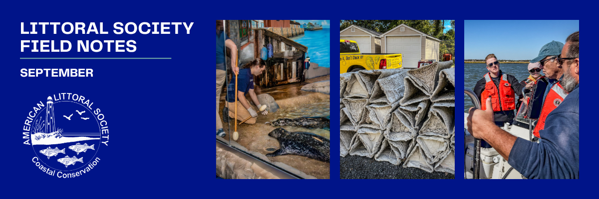 february 2025 field notes header