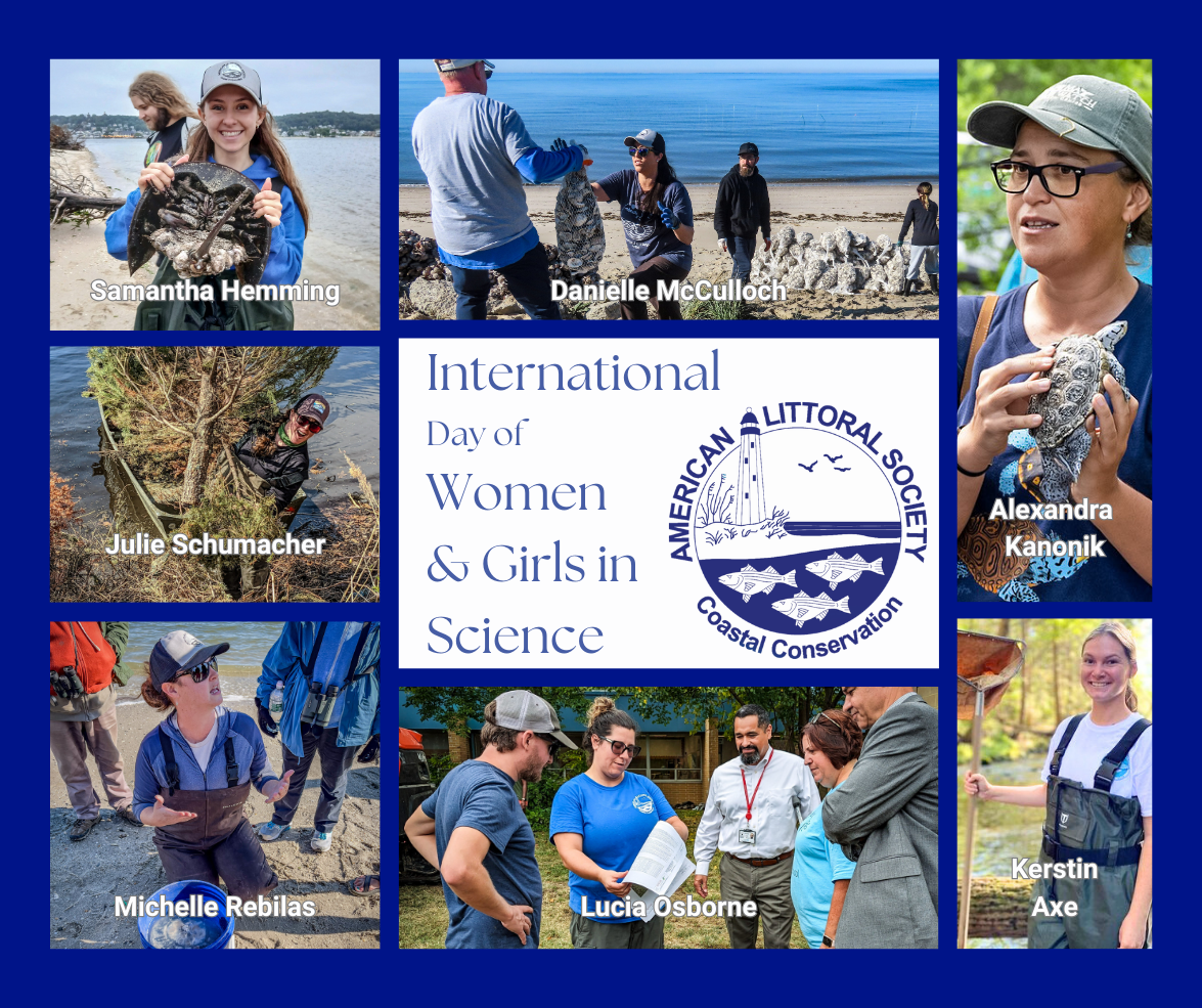 graphic showing the women working for the American Littoral Society for International Day of Women & Girls in Science
