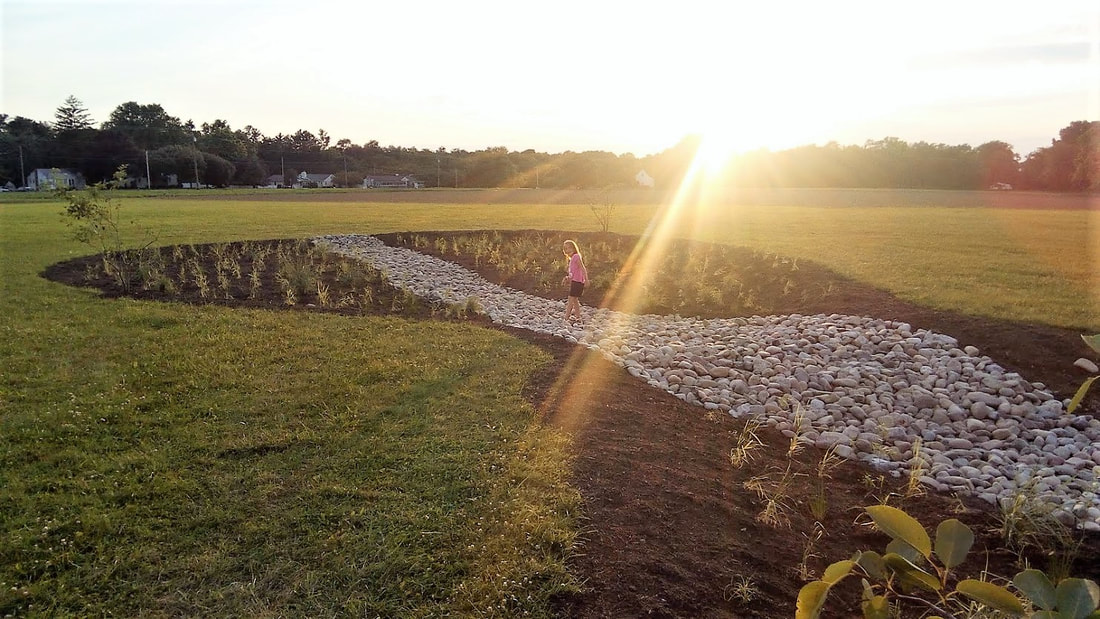 rain garden outside Cumerland Insurance office in Hopewell Twp NJ