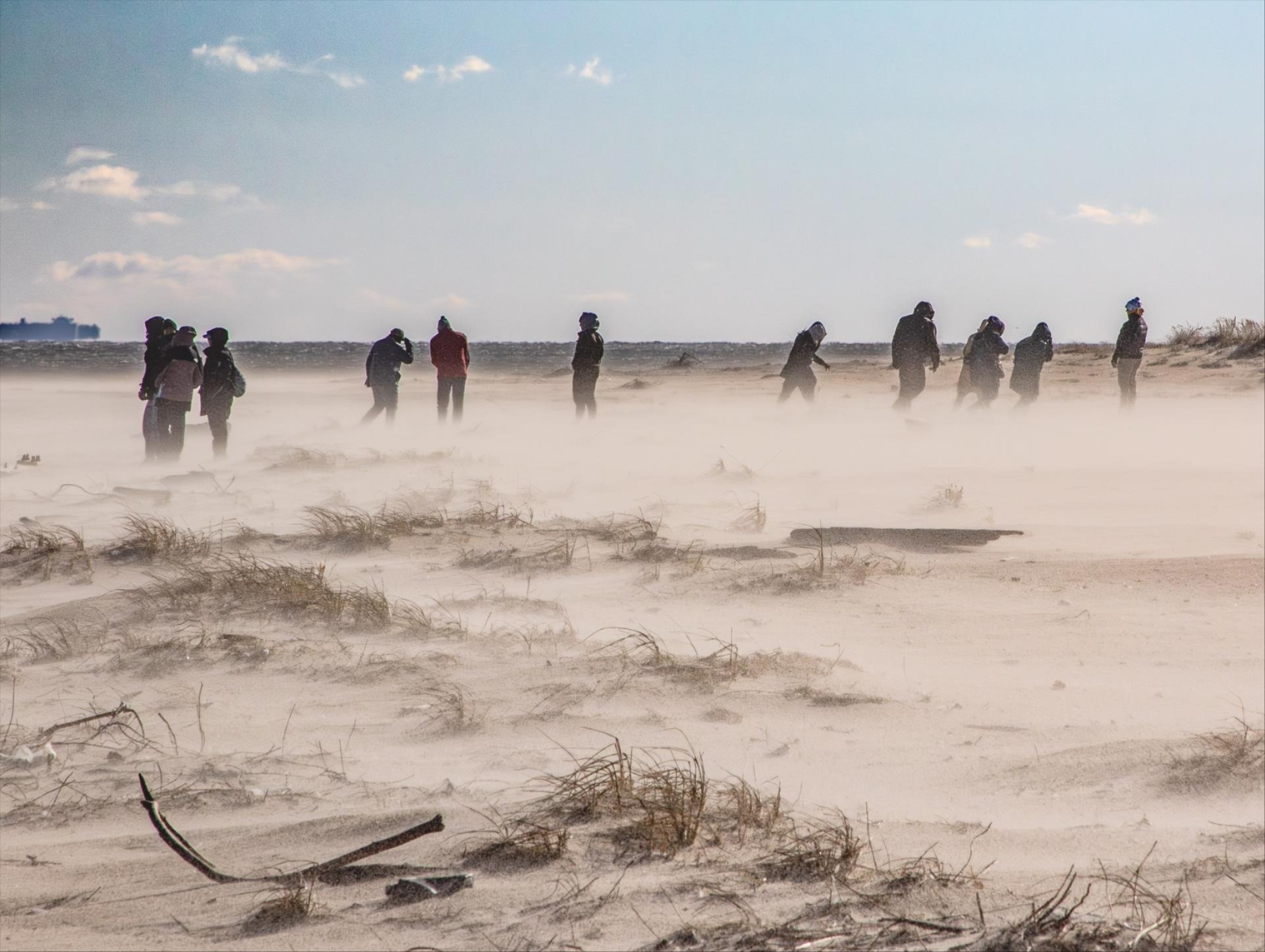 blowing sand on the beach during the New Year's Day walk on Sandy Hook