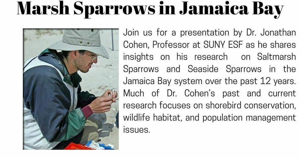 flyer for webinar with jonathan cohen jamaica bay colloquium series