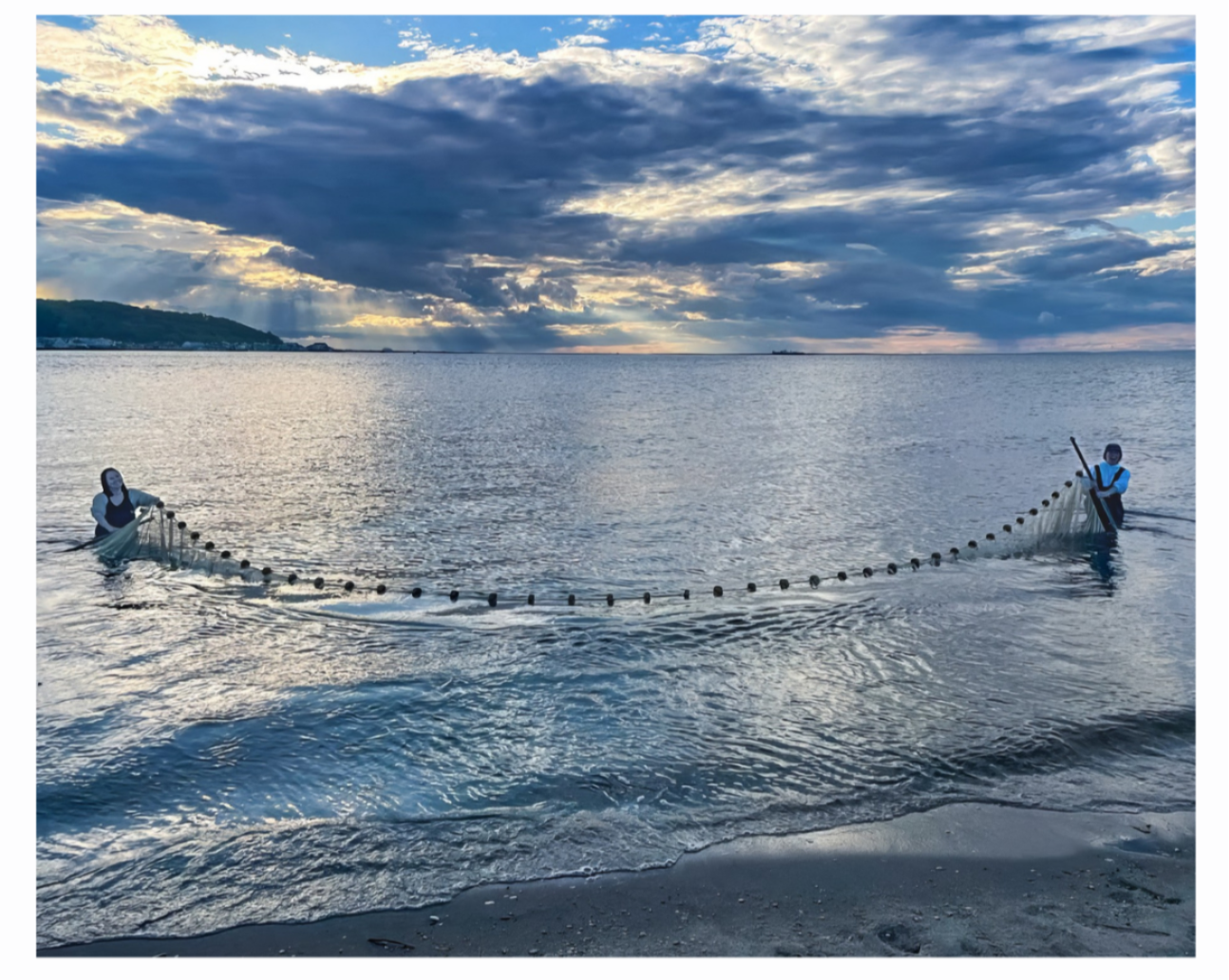 Attendees at the Littoral Society's NE Chapter holiday pary watch Don Diego flamenco dancing