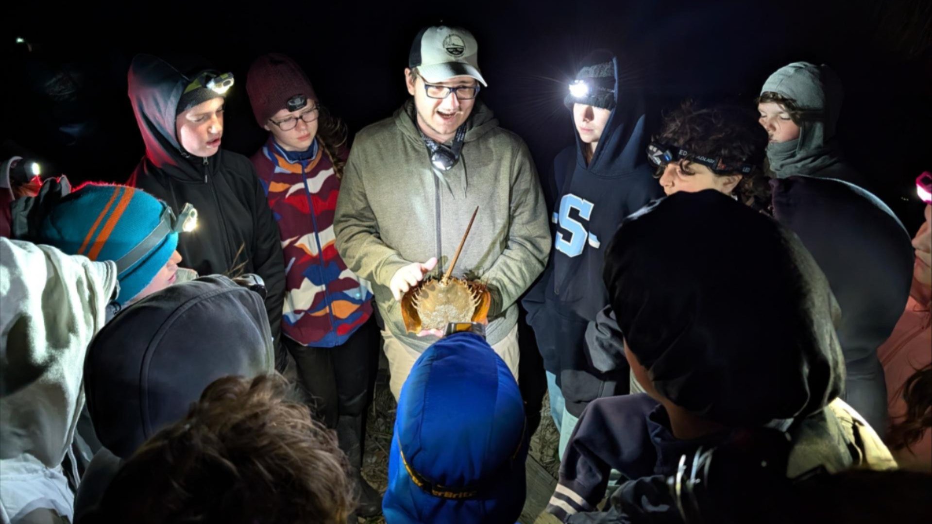 volunteers tag horseshoe crabs during a 2025 tagging event along the Delaware Bay