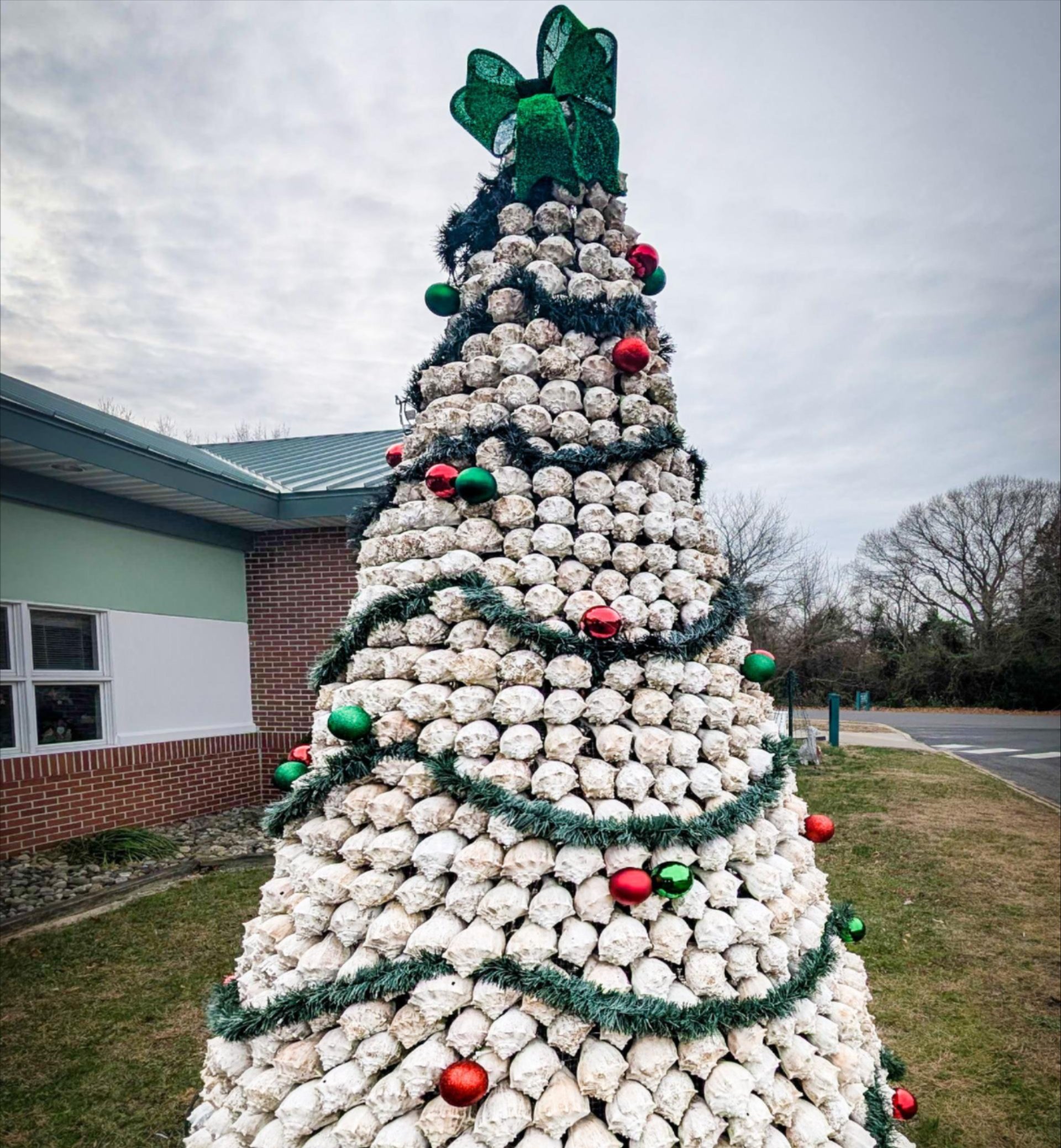whelk shell holiday tree outside the Maurice River Township building