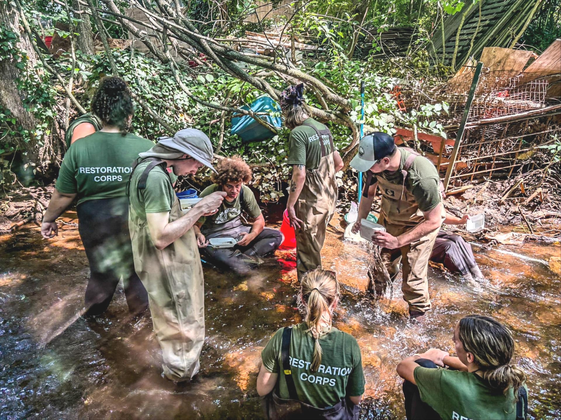 South Jersey Restoration Corps works on stream testing in Cumberland County, NJ