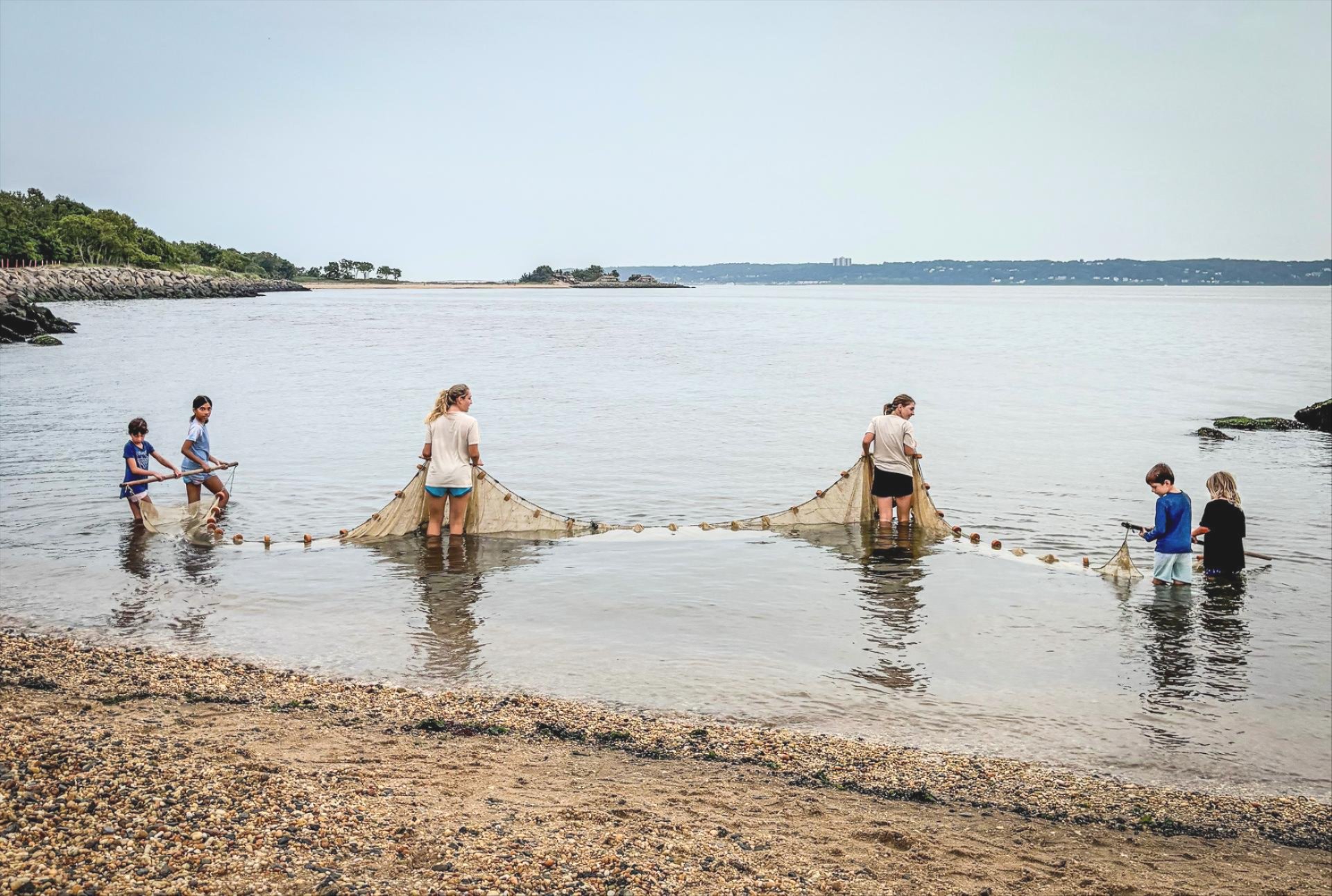 children and littoral society staff seining in sandy hook bay