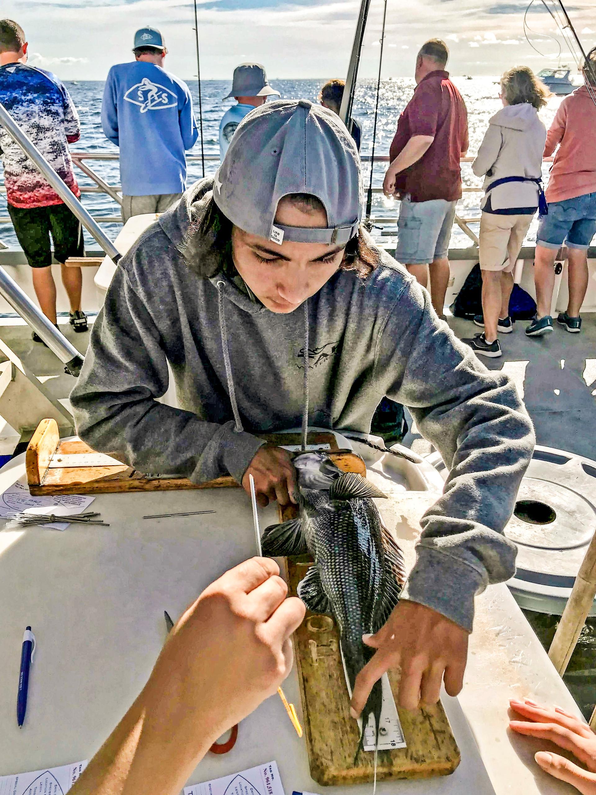 tagging a fish during the annual littoral society fluke tagging trip