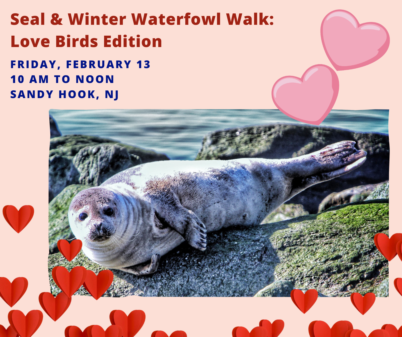 flyer for seal & winter waterfowl love birds edition