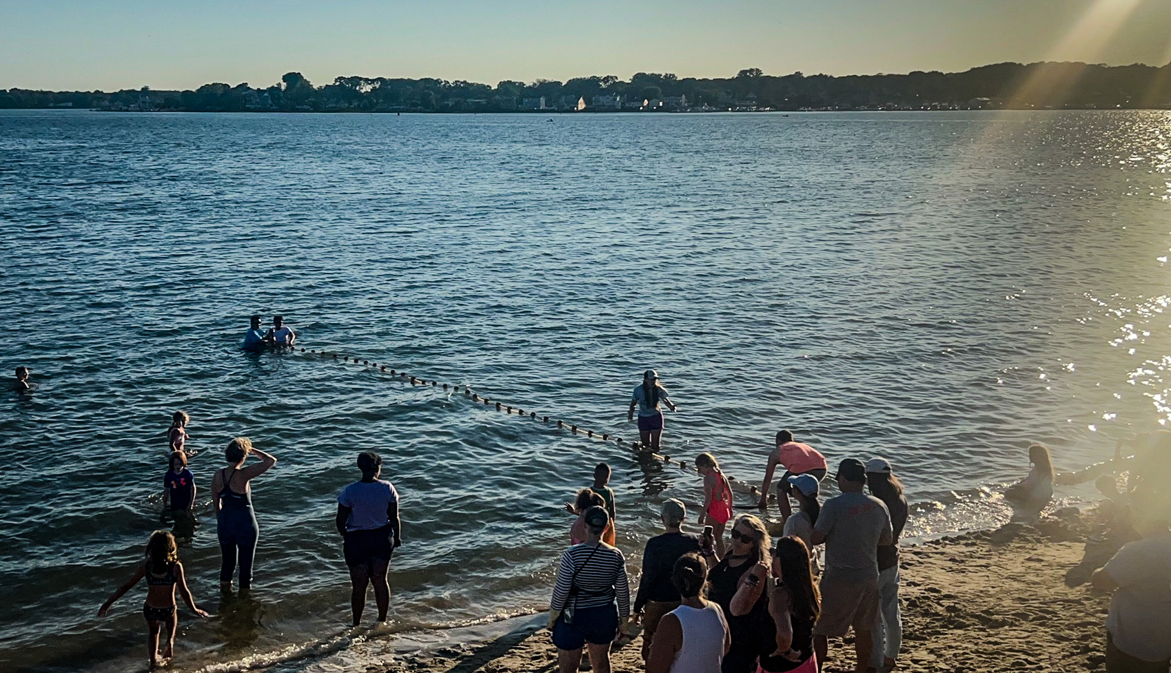 seining along the shark river in Neptune, NJ