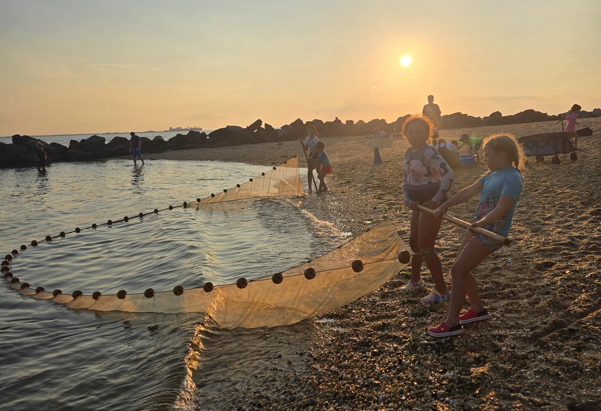 sunset seining
