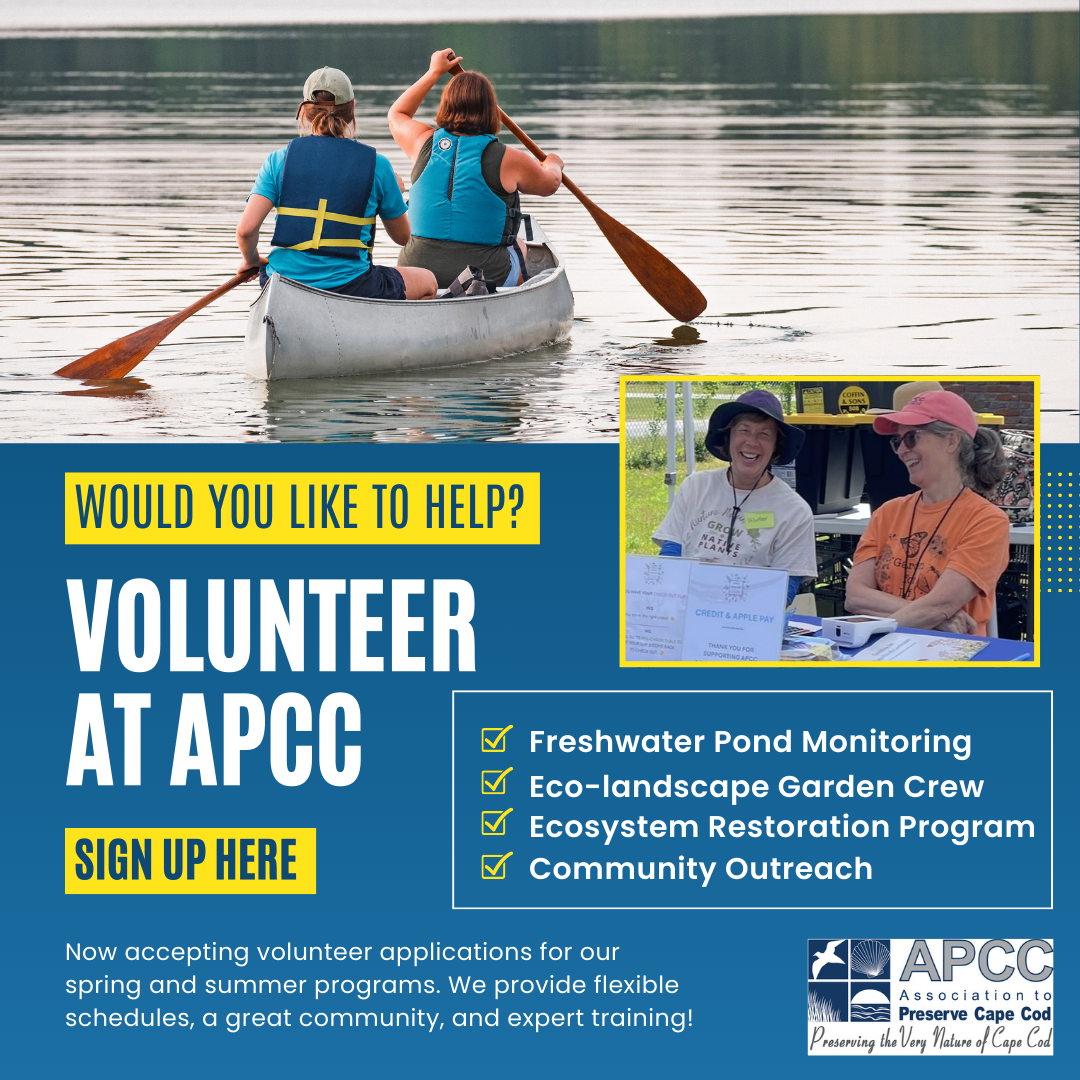 VOLUNTEER with APCC!