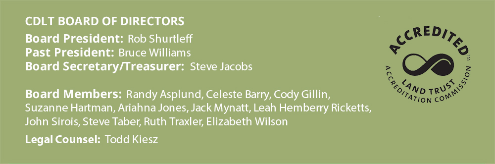 CDLT Board of Directors