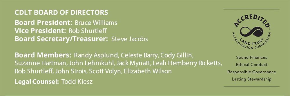 CDLT Board of Directors