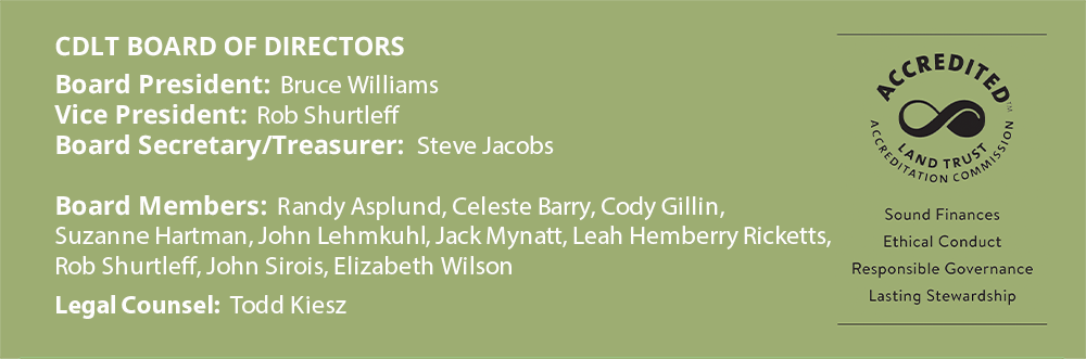 CDLT Board of Directors