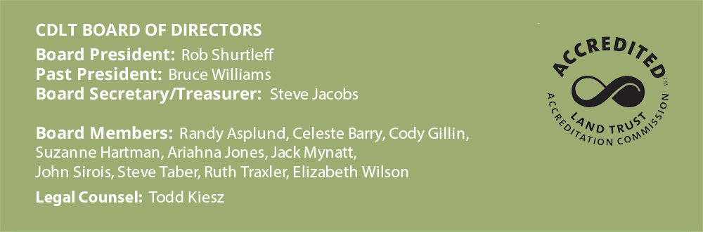 CDLT Board of Directors