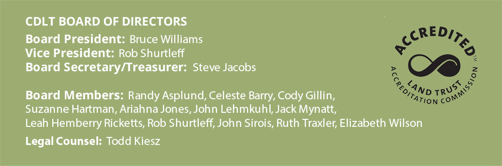 CDLT Board of Directors