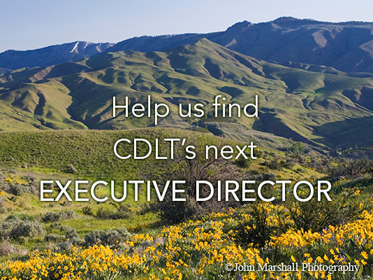 Executive Director position