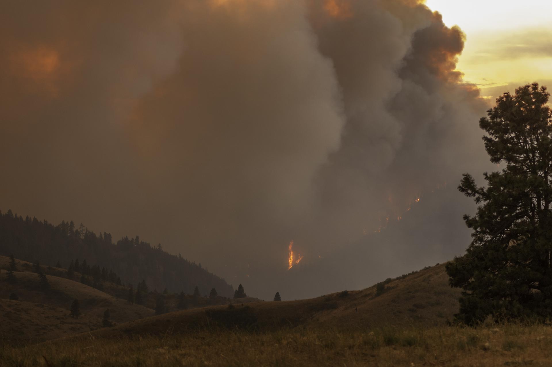 wildfire