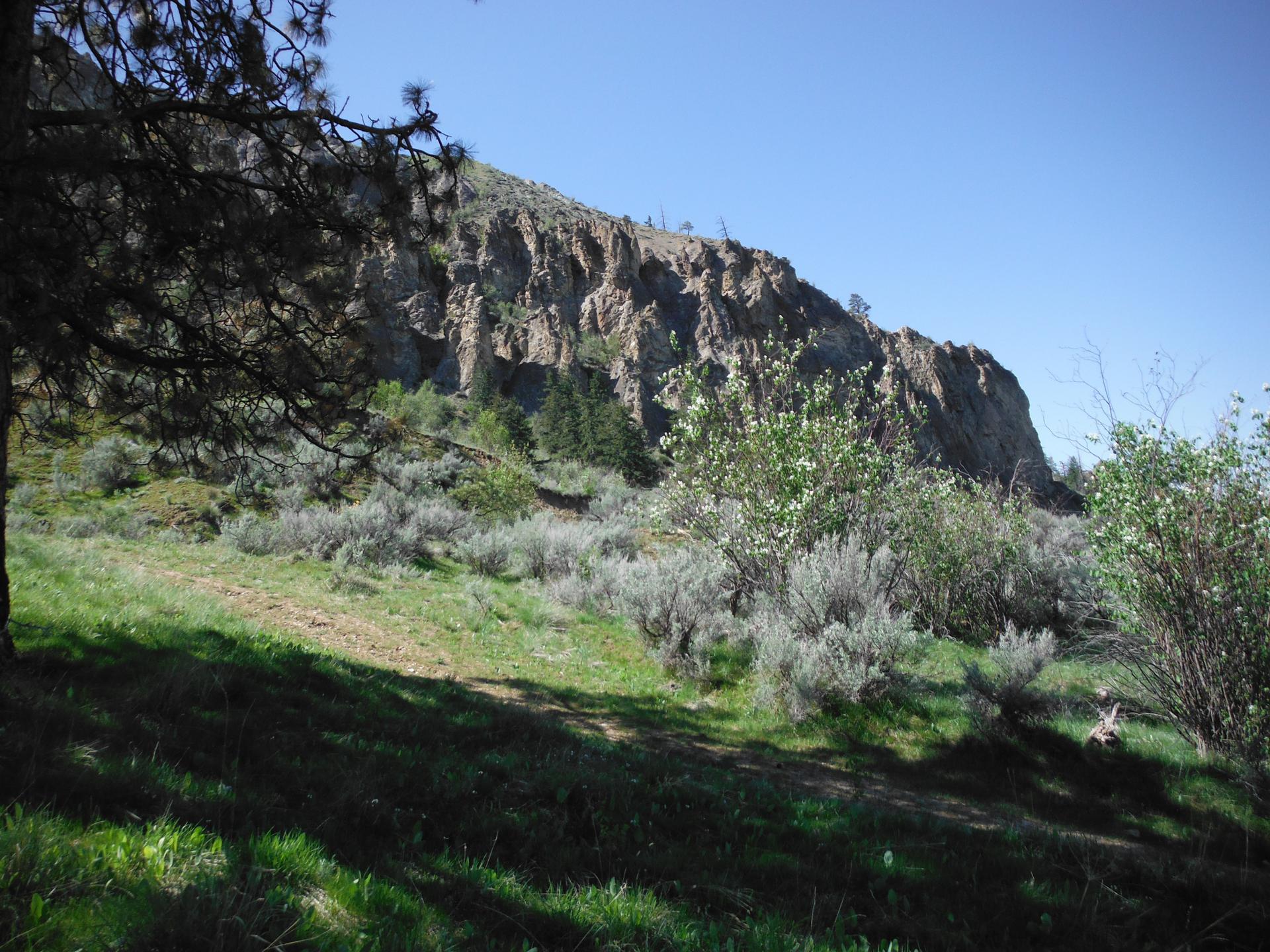 20 acres of quality shrub steppe