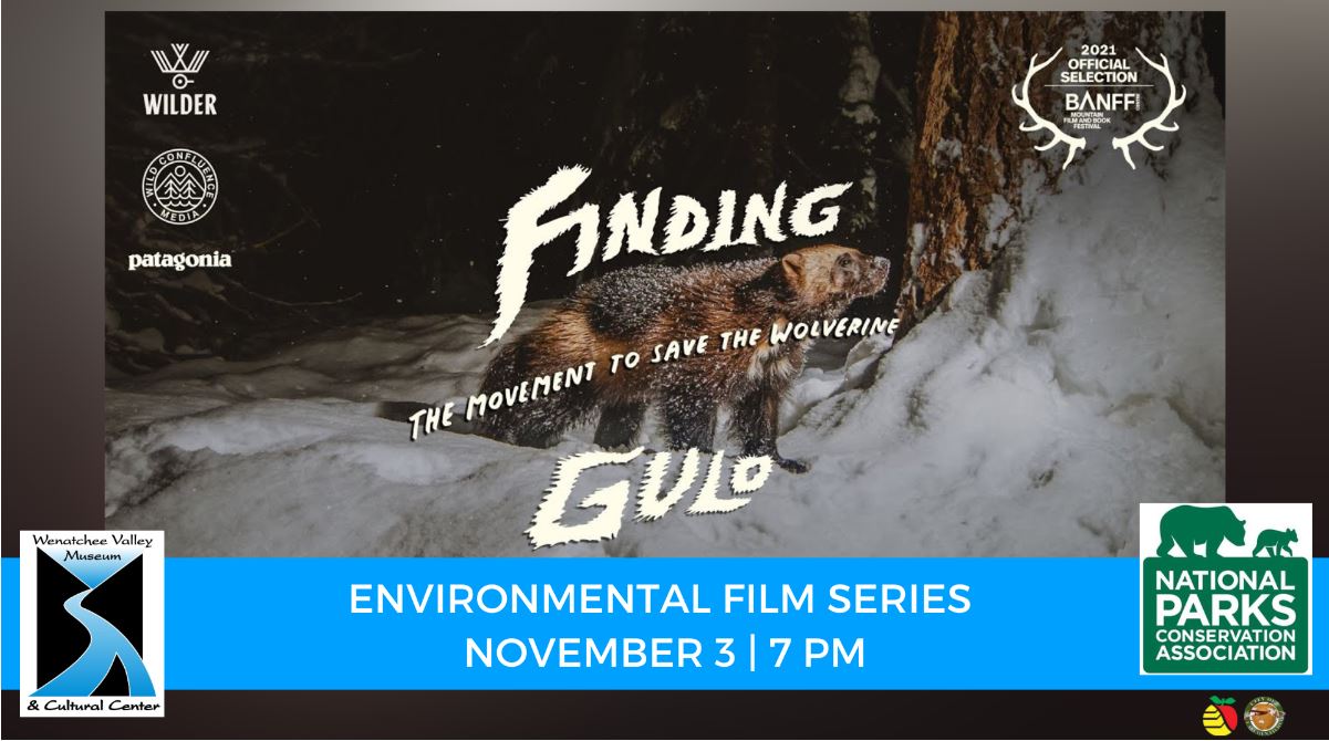 Environmental Film