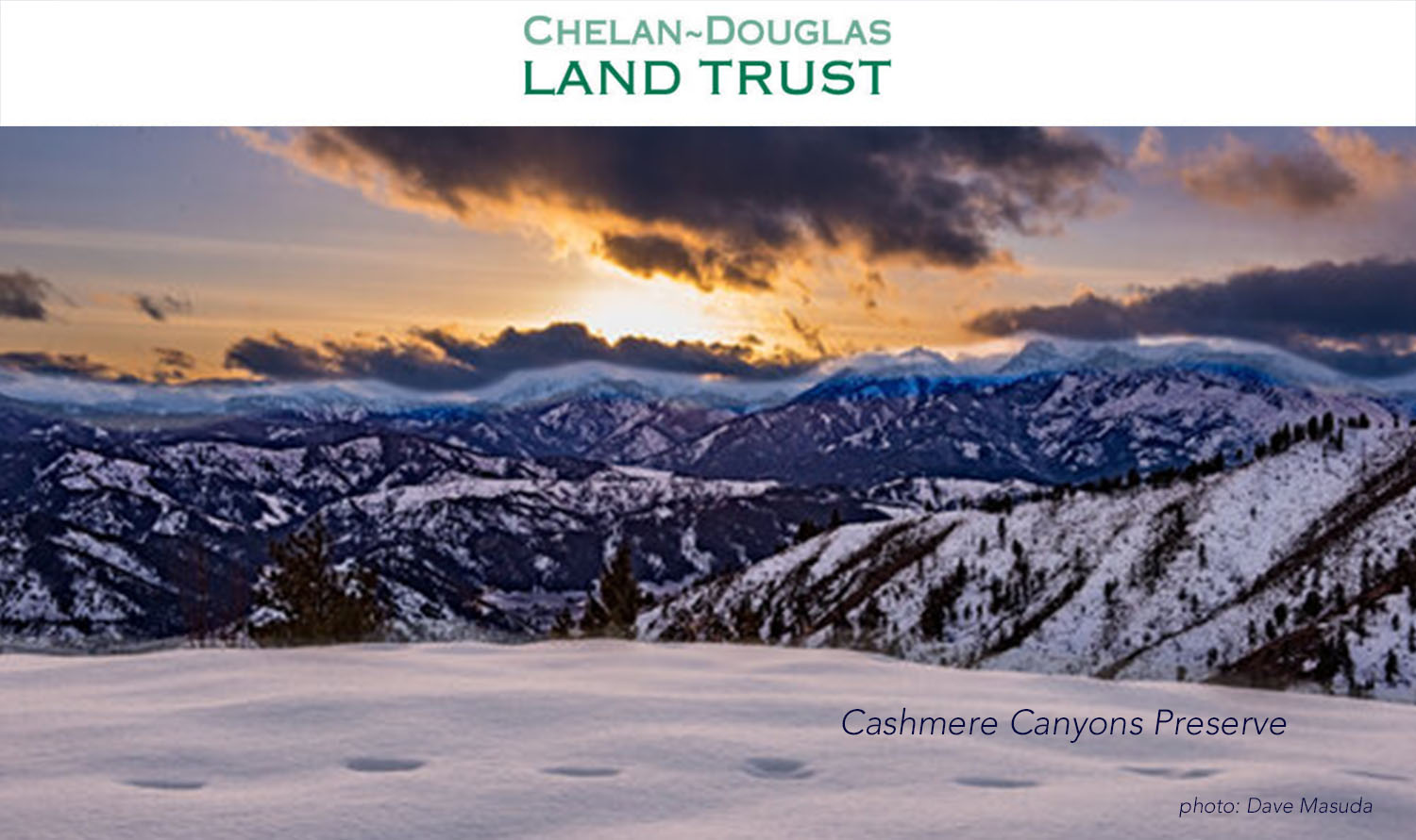 CDLT website