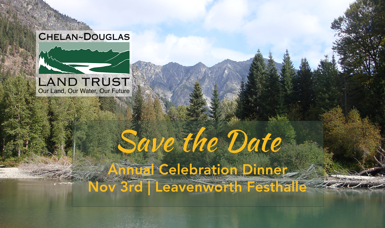 Annual Celebration Dinner