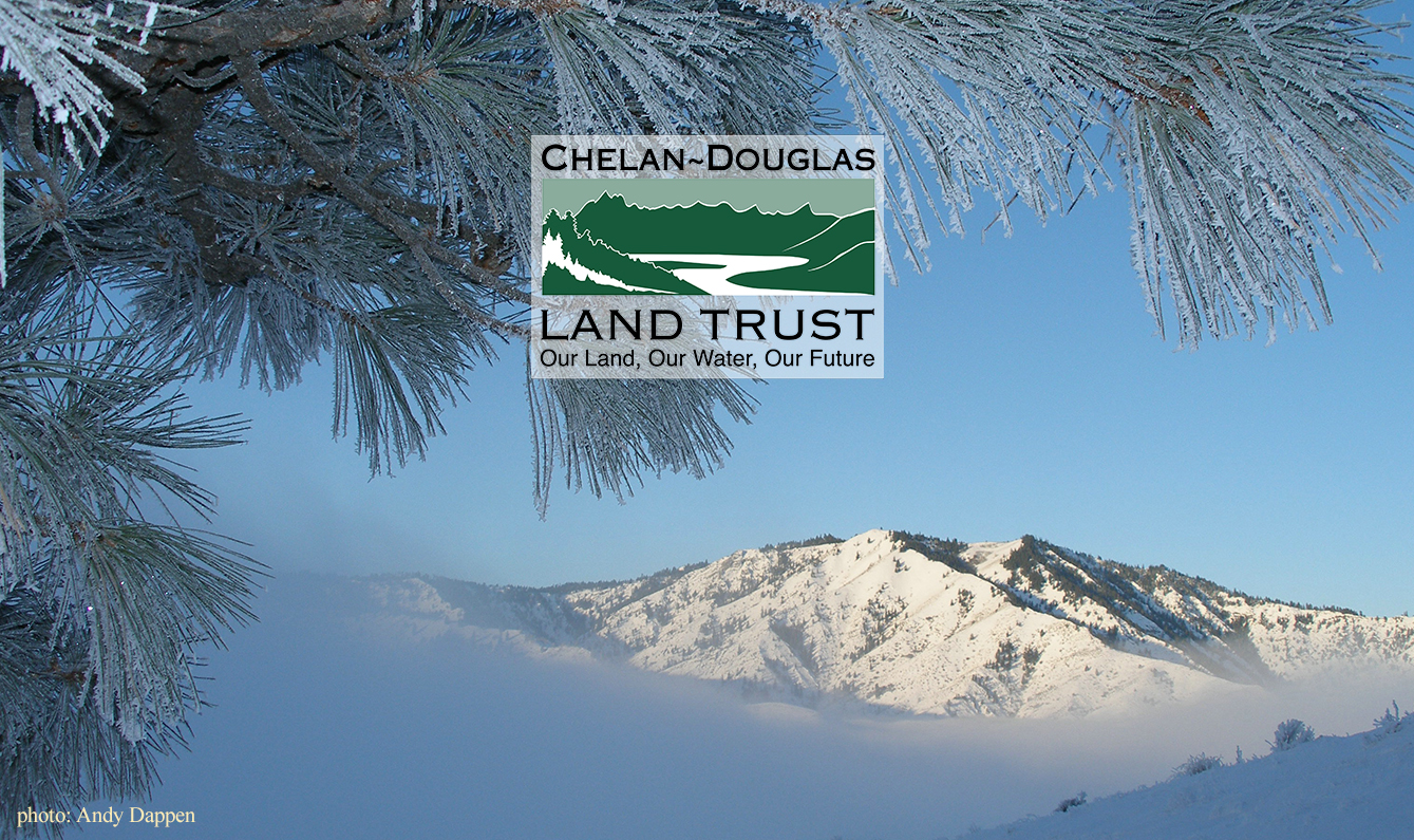 CDLT website