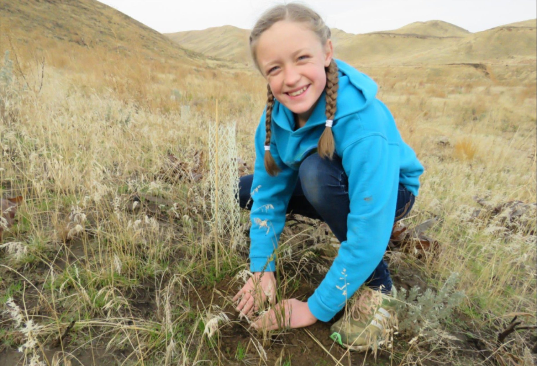 restoration planting