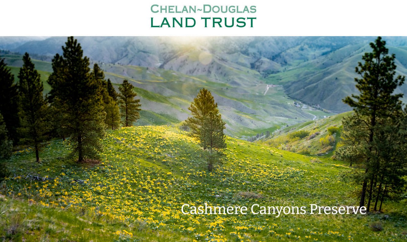 CDLT website