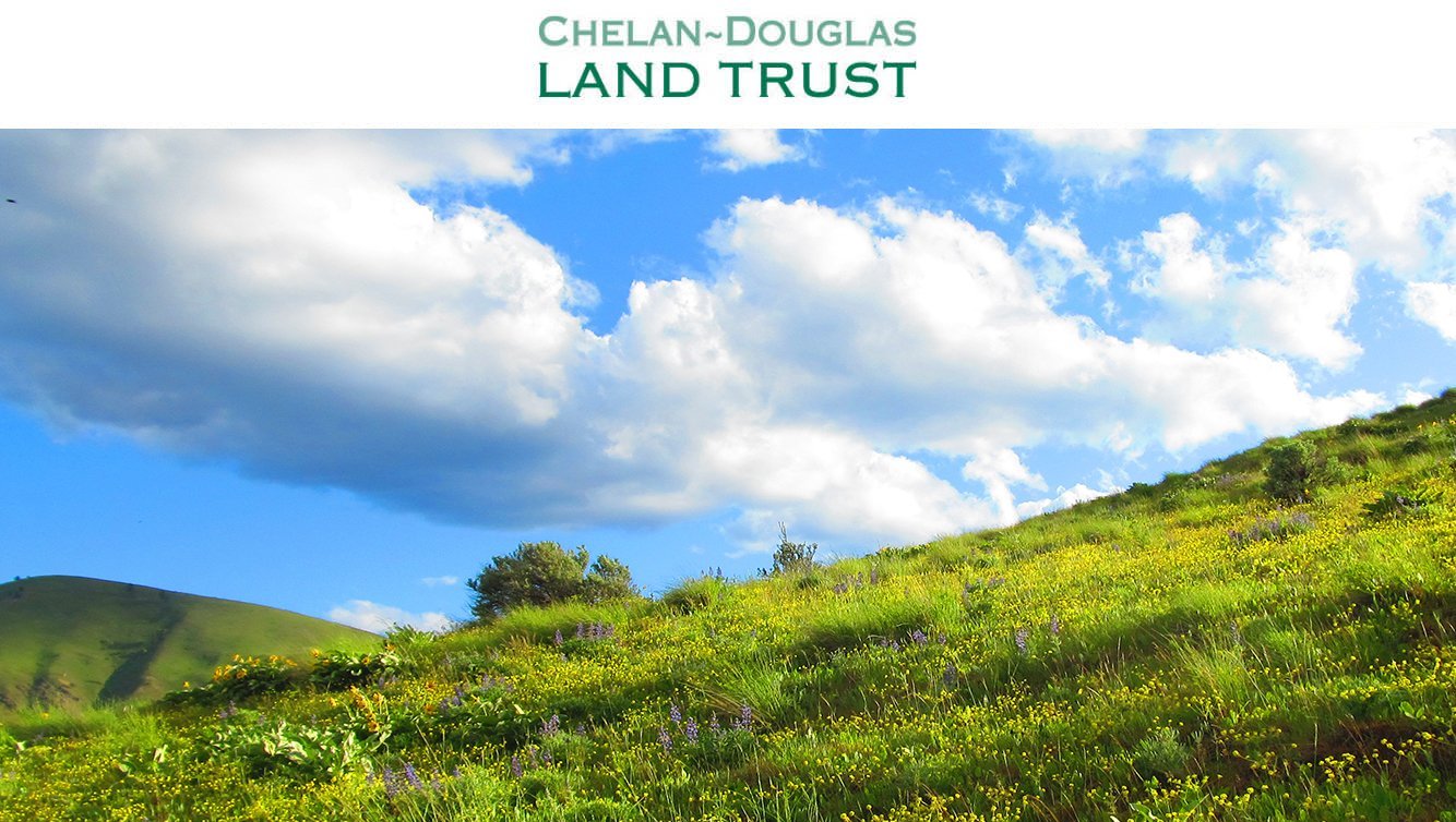 CDLT website