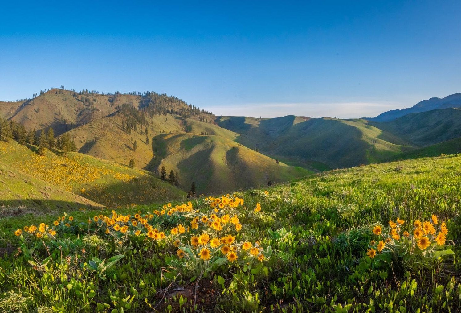 Cashmere Canyons Preserve