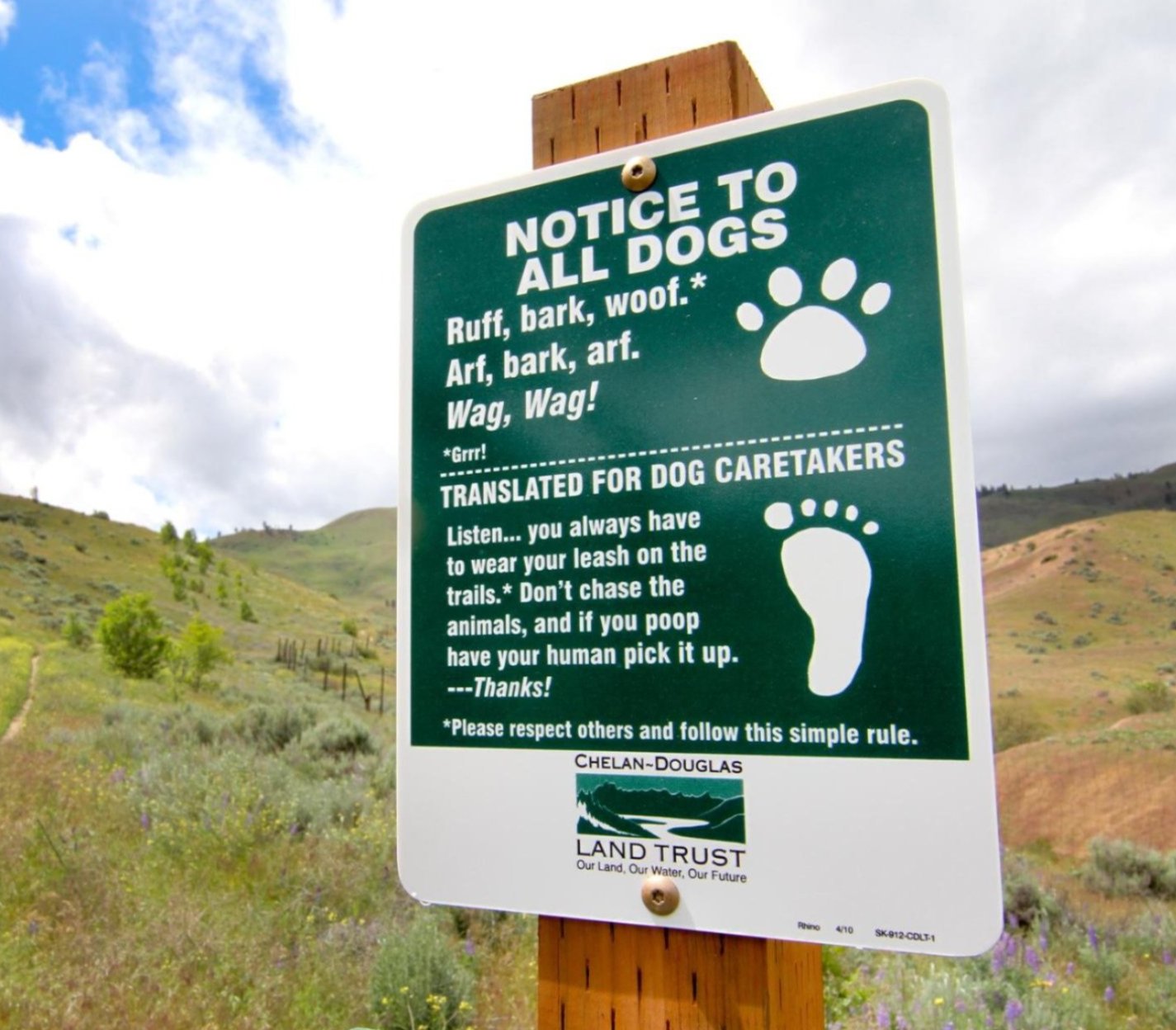 dogs on the trails